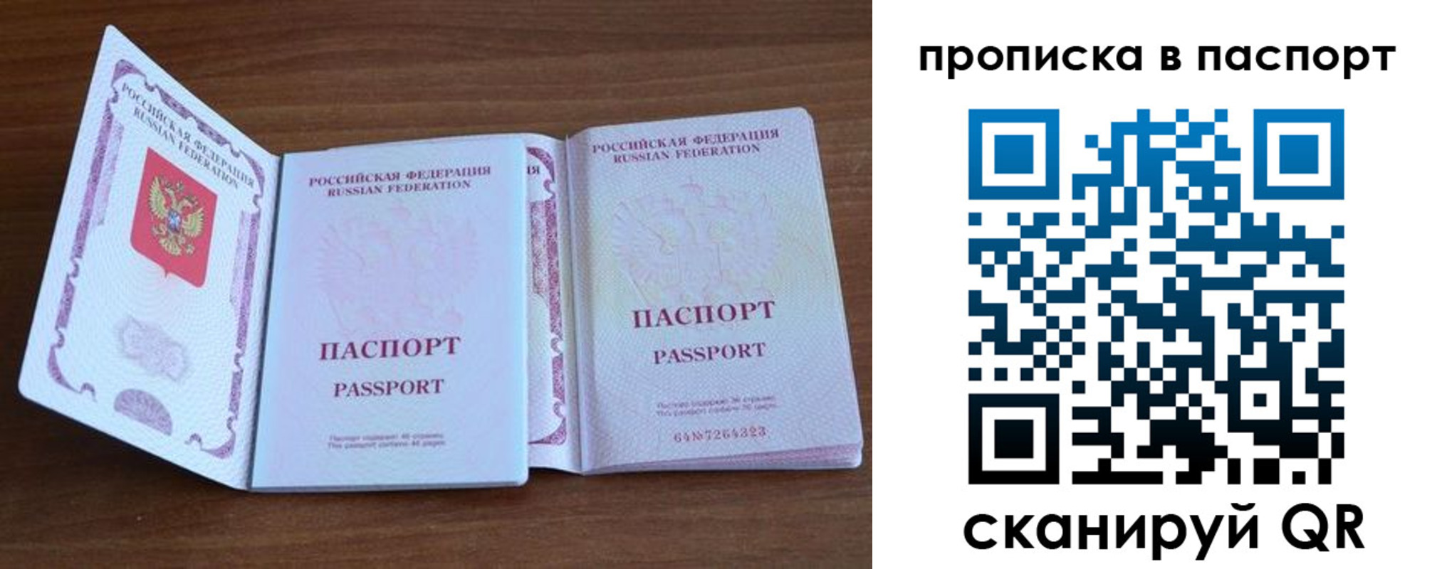 временная регистрация поиск в Читинской области
